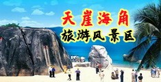 伊人网黄色视频海南三亚-天崖海角旅游风景区
