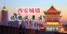 嗯嗯嗯嗯嗯啊啊啊使劲操一级毛片免费试看中国陕西-西安城墙旅游风景区