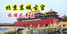 男生用鸡巴操的女生直娇喘网站中国北京-东城古宫旅游风景区